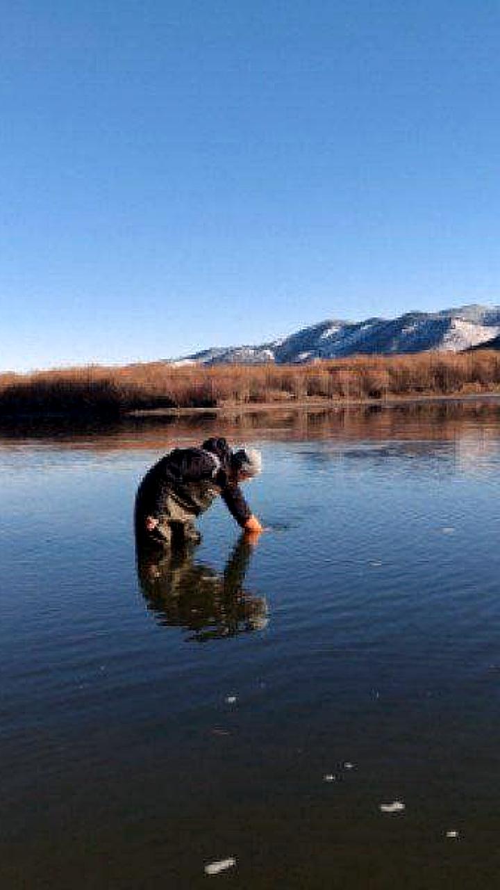 Исследование качества воды в реке Селенге выявило значительное бактериальное загрязнение