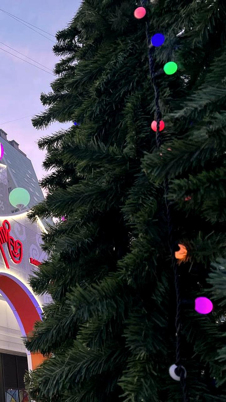 В Череповце стартовал монтаж новогодних елок