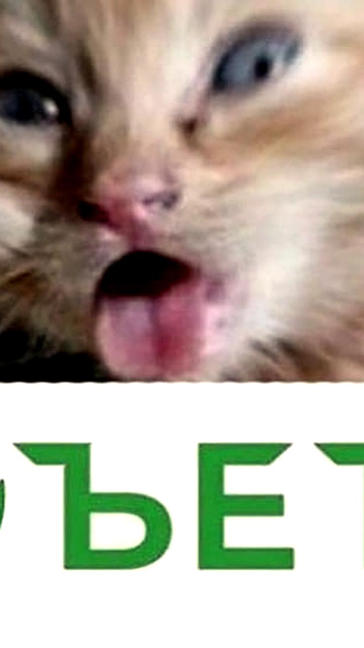 Сбербанк сокращает численность сотрудников на фоне внедрения технологий