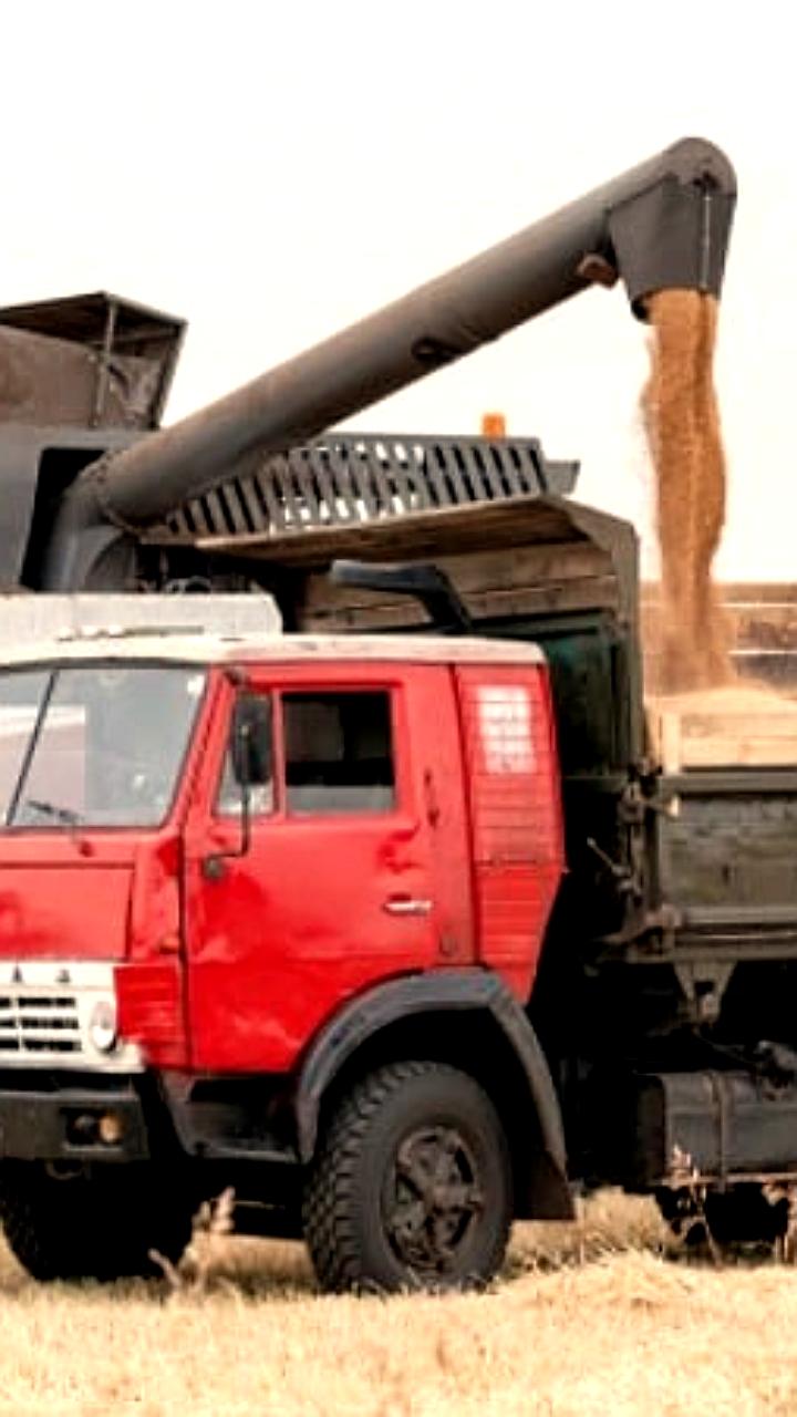 Российские власти обсуждают модель зерновой биржи БРИКС с партнерами