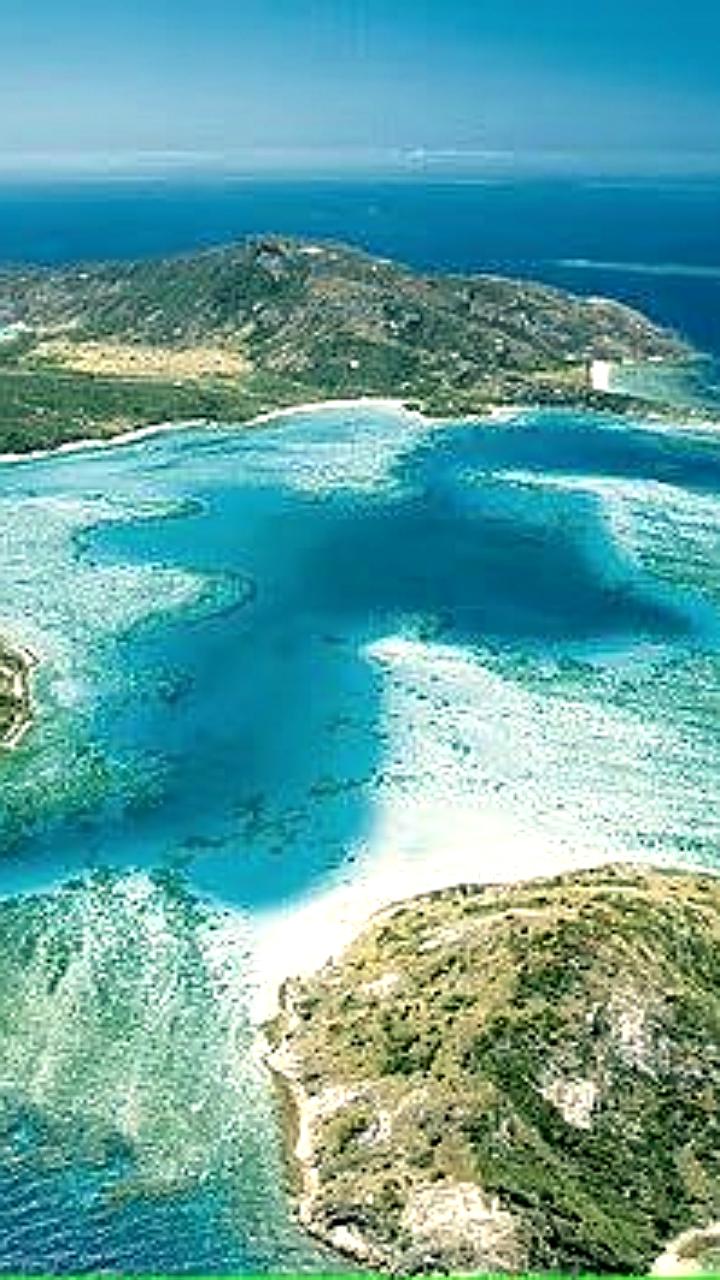 Туристка погибла на необитаемом острове Большого барьерного рифа