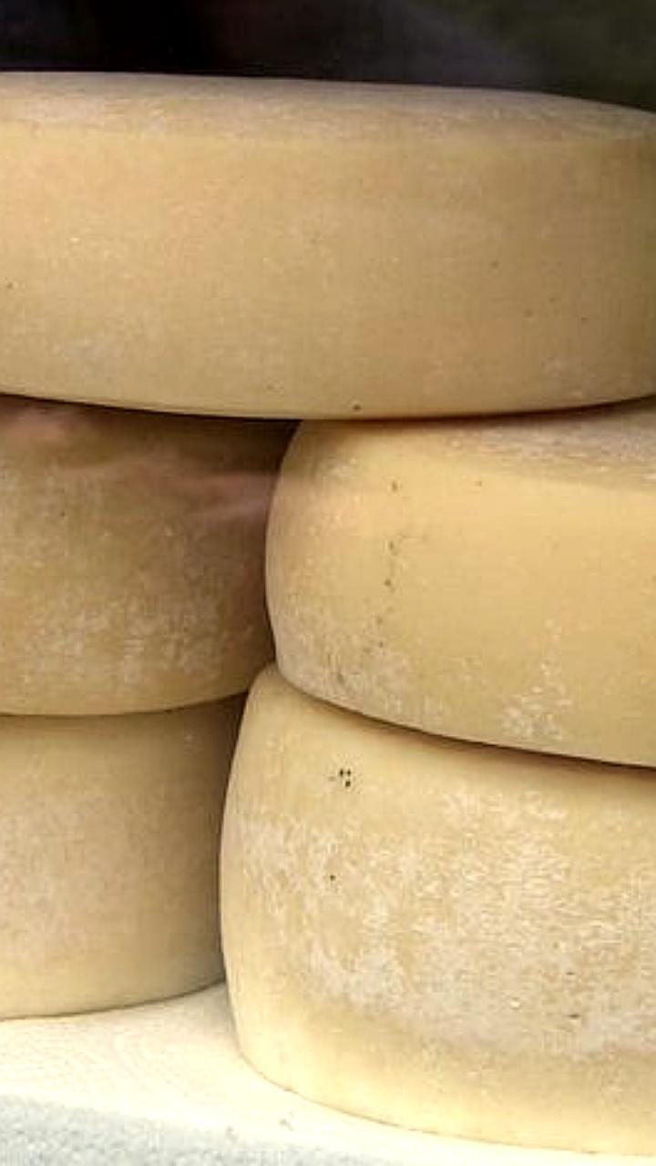 Рост экспорта молочной продукции в Орловской области и увеличение надоя в Кыргызстане