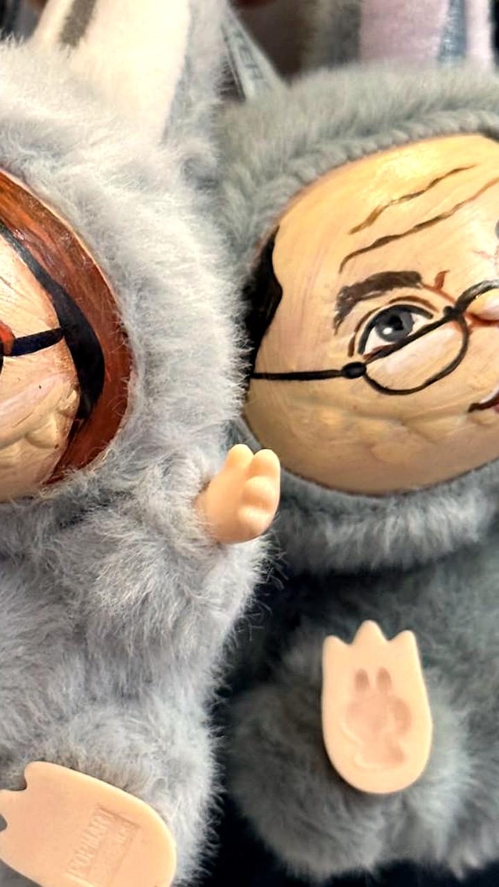 Микрокредитная компания Лабубу получила признание от Банка России