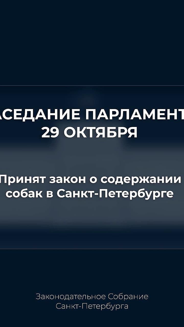 Санкт-Петербург утвердил закон о содержании собак после общественных обсуждений