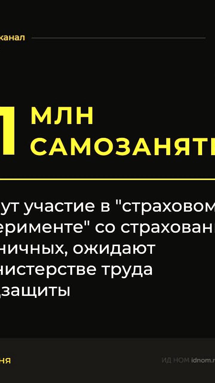 Госдума поддержала пилотный проект по добровольному социальному страхованию для самозанятых