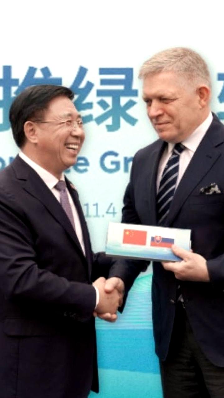 Словакия совместно с Gotion High Tech запускает завод по производству аккумуляторов для электромобилей