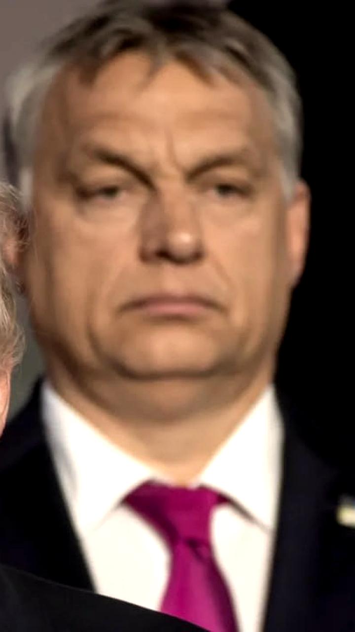 Трамп и Орбан обсудят важные вопросы на встрече в Вашингтоне 8 ноября