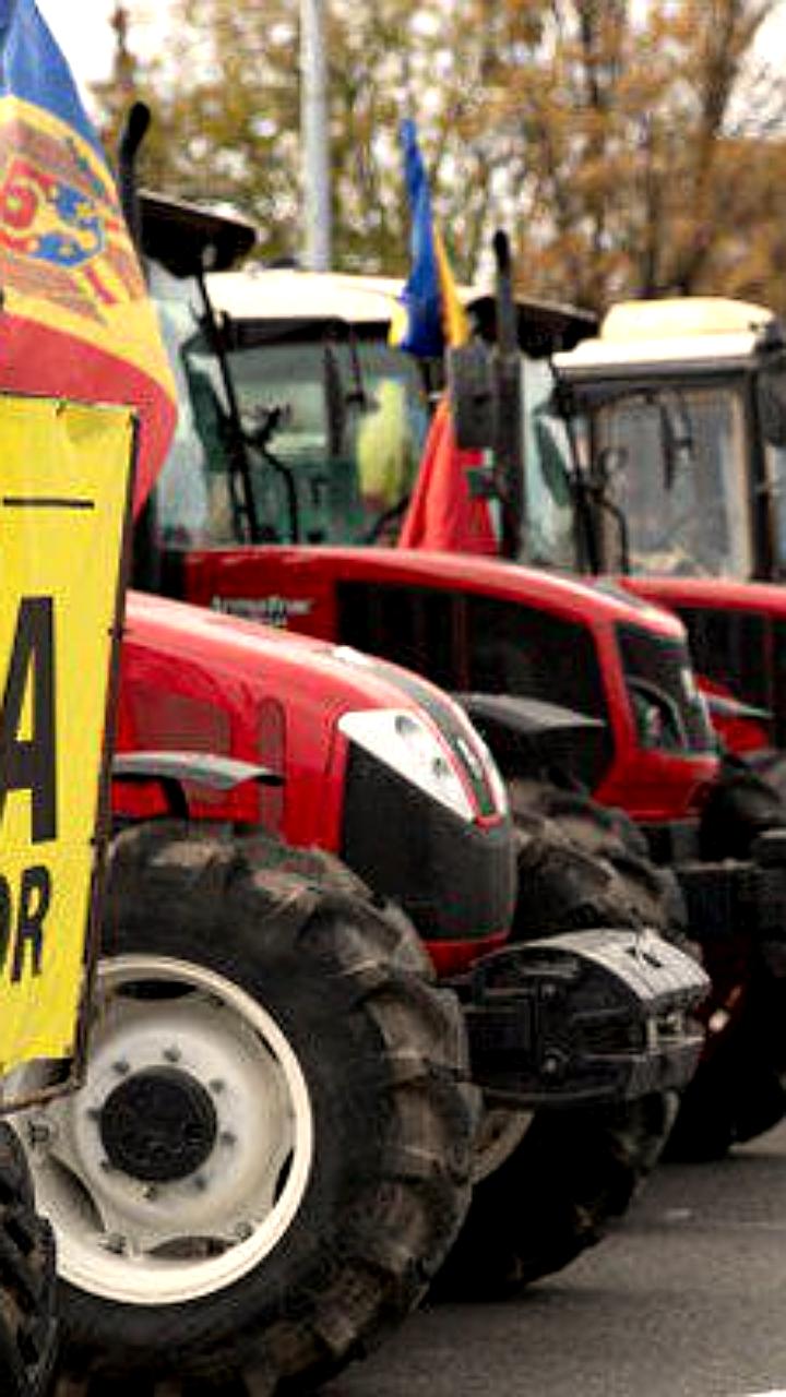 Ассоциация Сила фермеров выражает недовольство сохранением Людмилы Катлабуги в должности министра