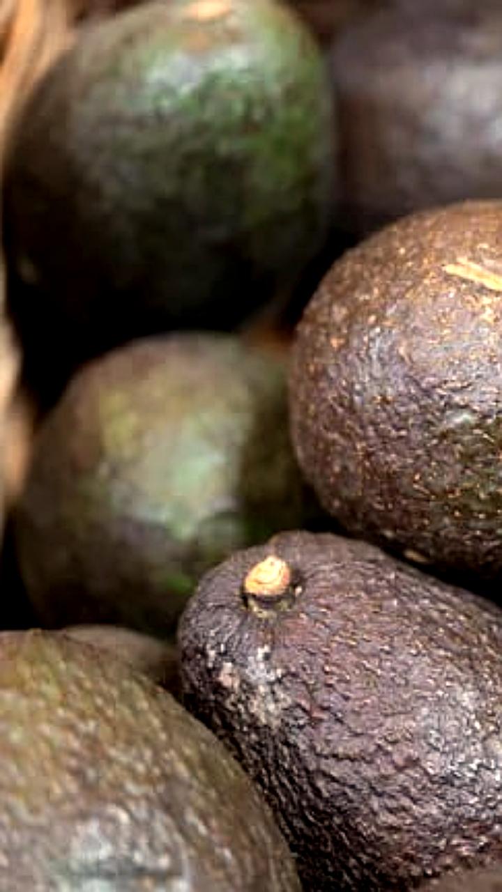 Первое органическое авокадо из Эквадора поступит в Россию