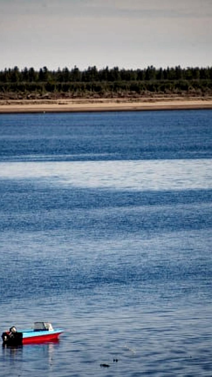 Проверка безопасности переправы и инцидента с баржей в России