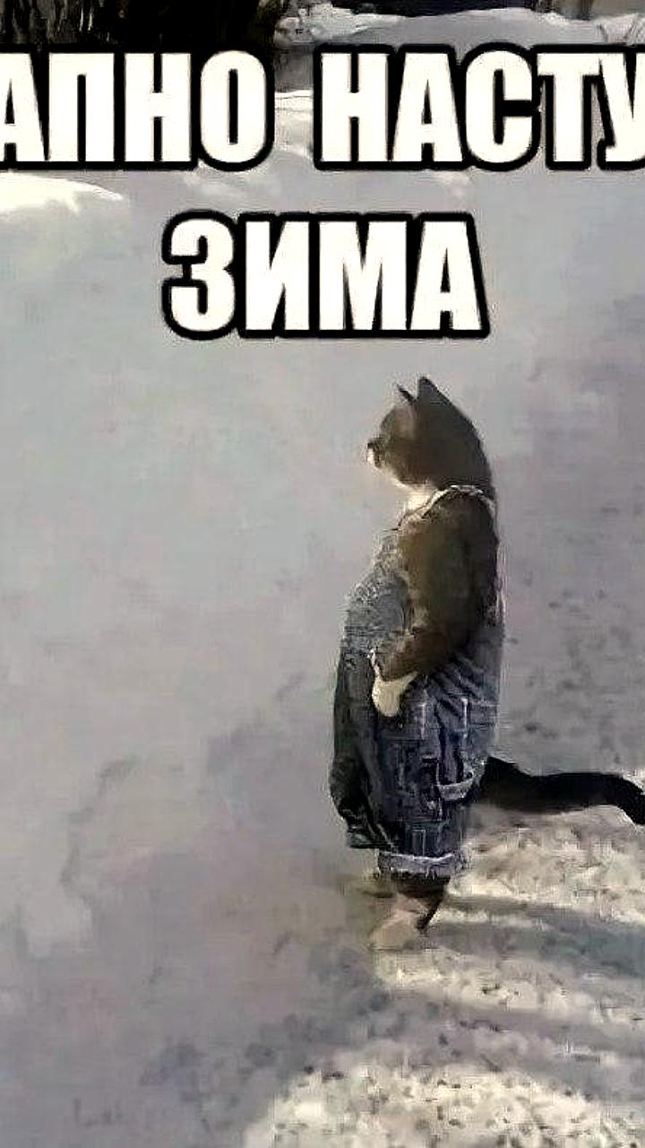 Снег покрыл 50-55% территории России, сообщает Гидрометцентр