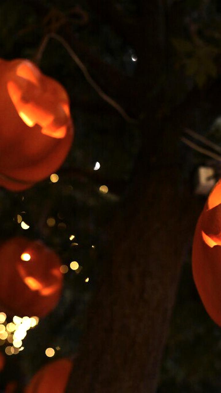 Юрист предупреждает о штрафах за атрибутику Хэллоуина