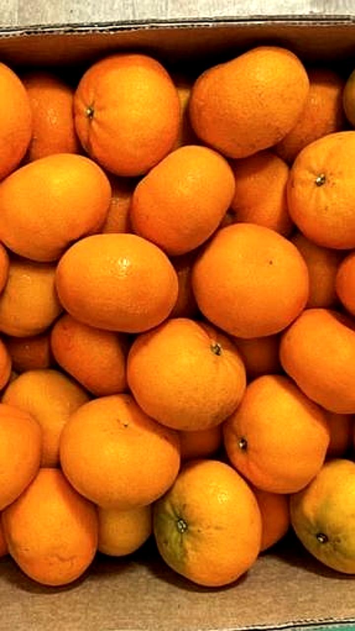 Партия мандаринов из ЮАР не прошла контроль в Санкт-Петербурге из-за заражения