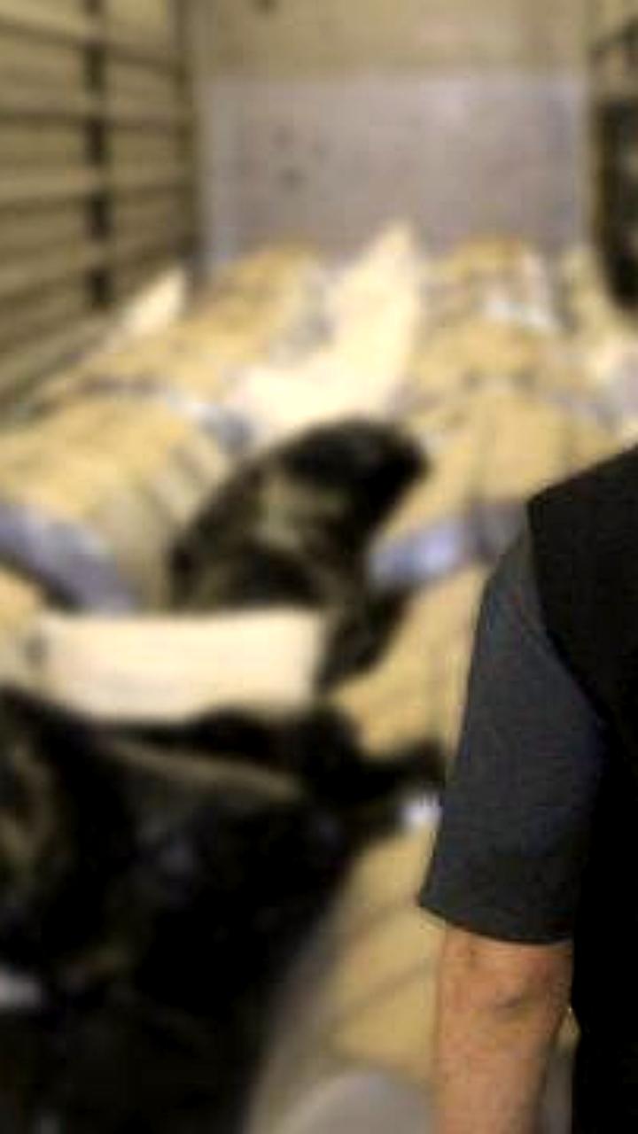 На таможне Турции изъято 525 килограммов наркотиков