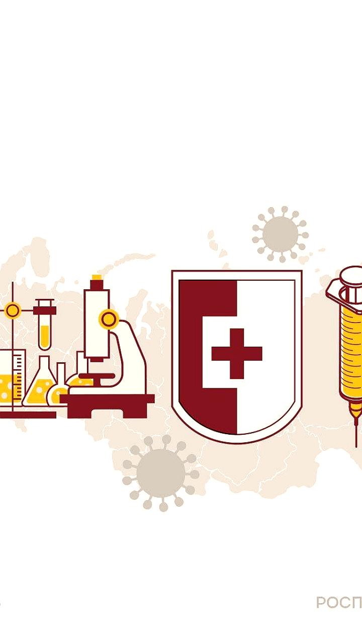 Роспотребнадзор прокомментировал новый коронавирус у летучих мышей в Бразилии