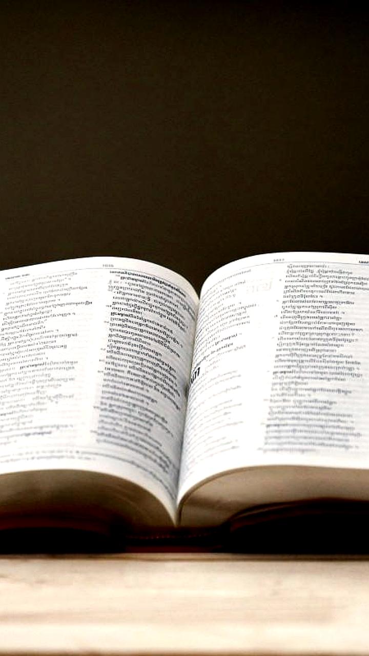 Выражение 'шесть семь' признано словом года 2025 по версии Dictionary.com