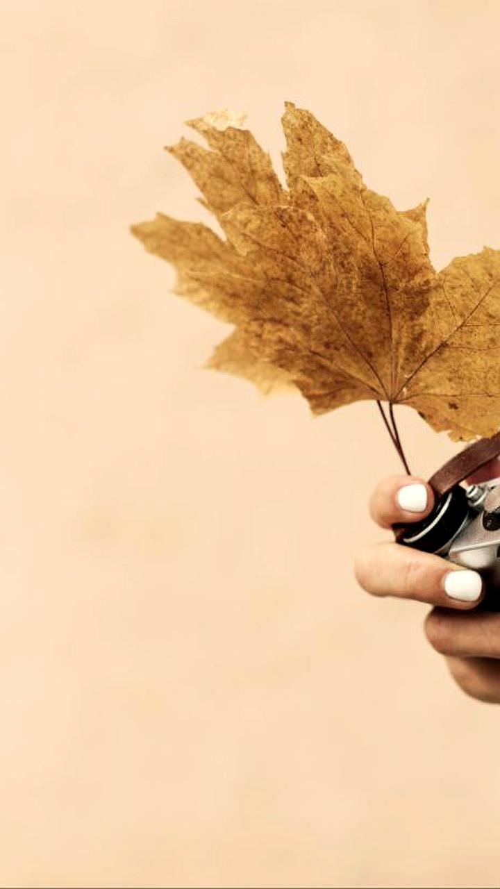 Популярность внутренних поездок в России в межсезонье достигла 25%