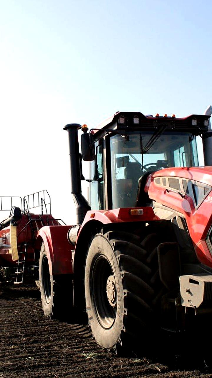 Запорожская и Ульяновская области активно ведут посев озимых культур