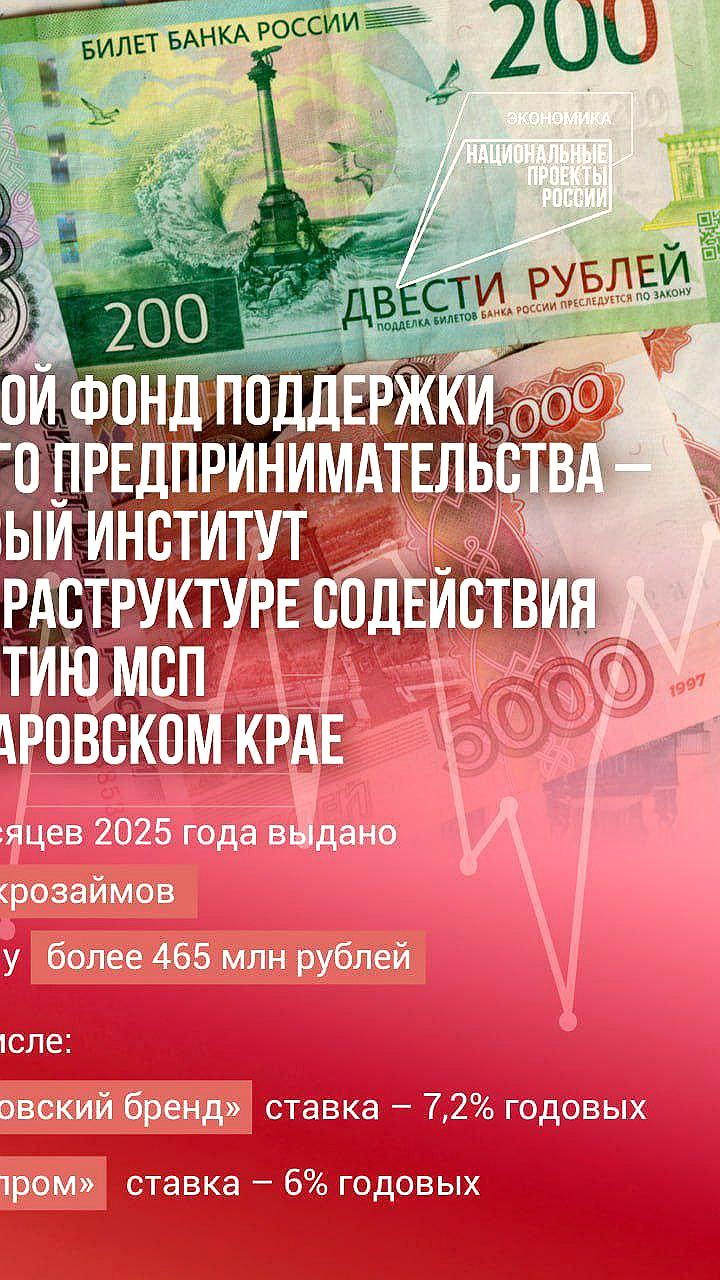 Поддержка МСП в Хабаровском крае: 197 микрозаймов на 465 млн рублей