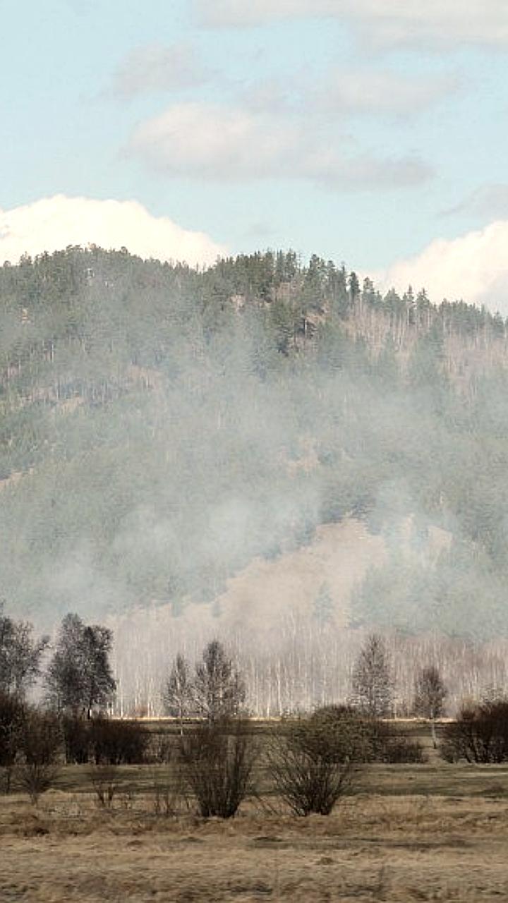 В Бурятии введены выплаты за сообщения о поджигателях леса