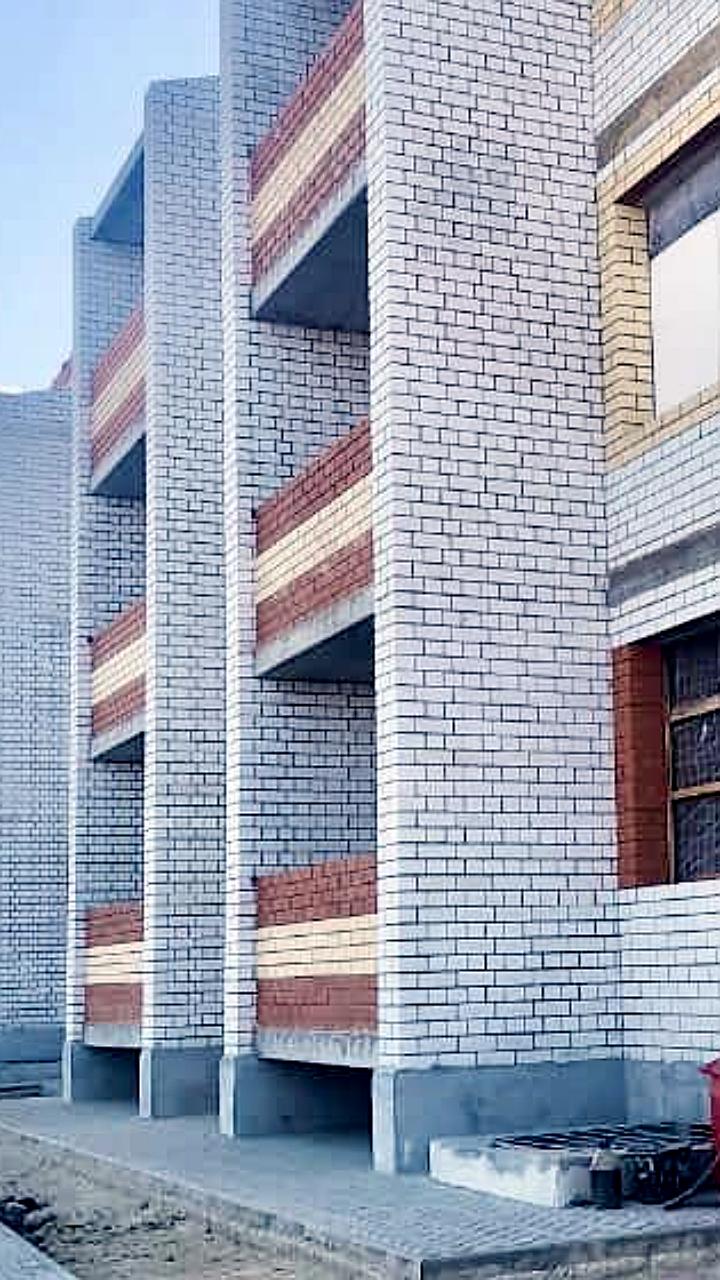 Запуск арендного жилья для студентов и молодых семей в Тамбове и ДФО