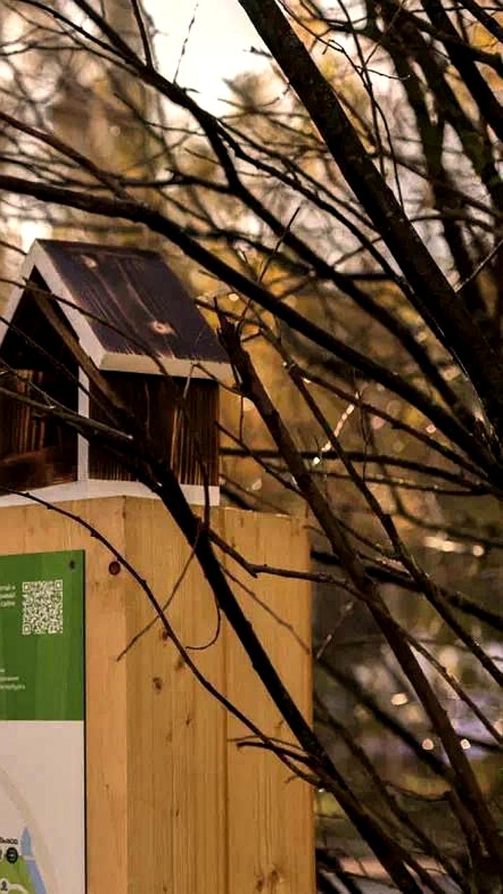 Посещение экотроп Ленобласти может достичь 1,5 млн человек к 2025 году