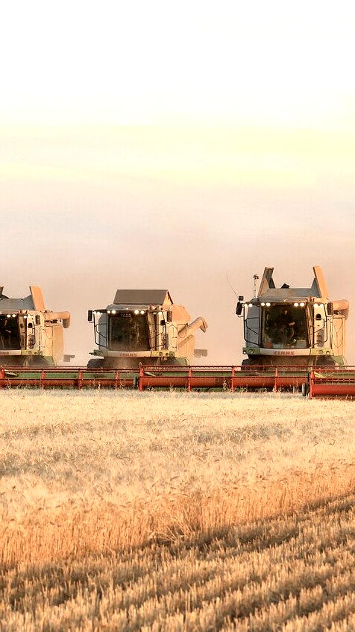 В Шымкенте осуждены чиновник и бизнесмен за хищение бюджетных средств