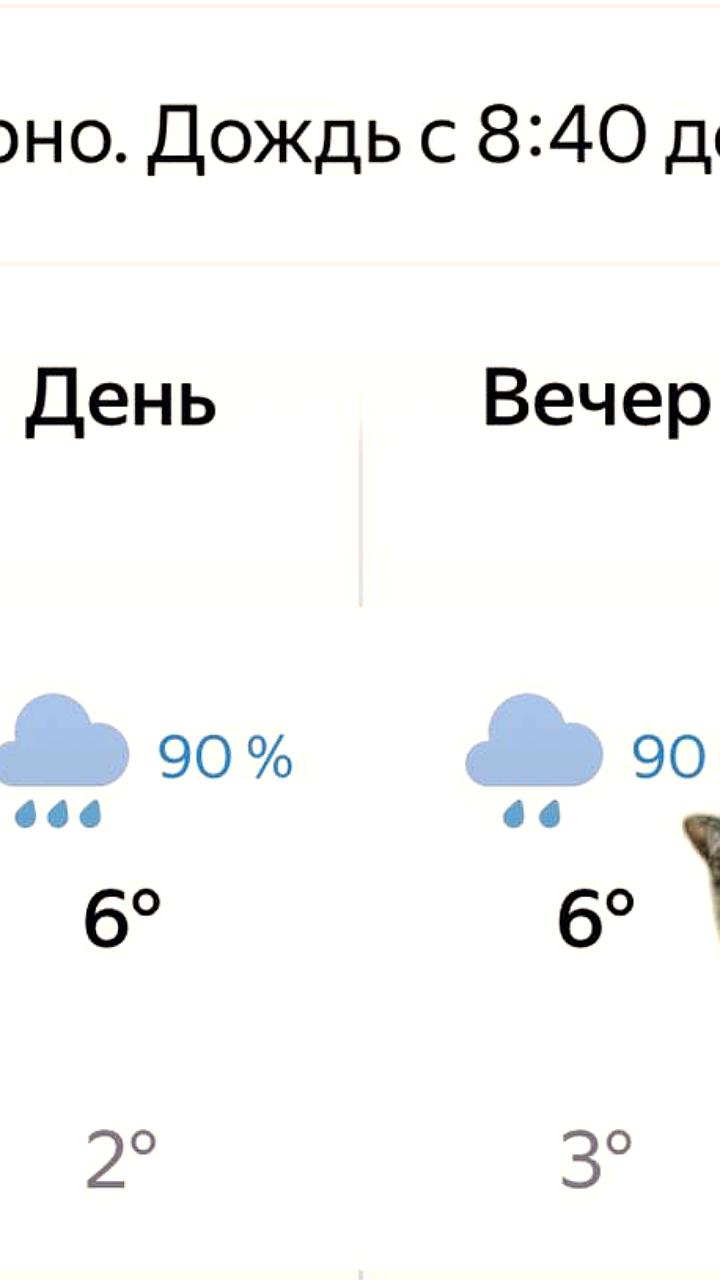 МЧС предупреждает о ливне в Москве и области