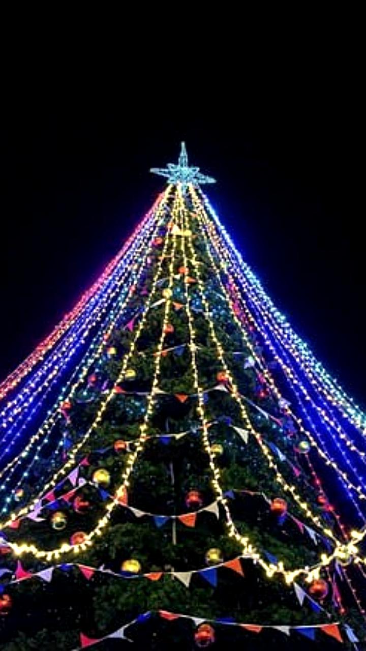 Барнаул ищет подрядчика для организации новогодних мероприятий с открытием главной елки