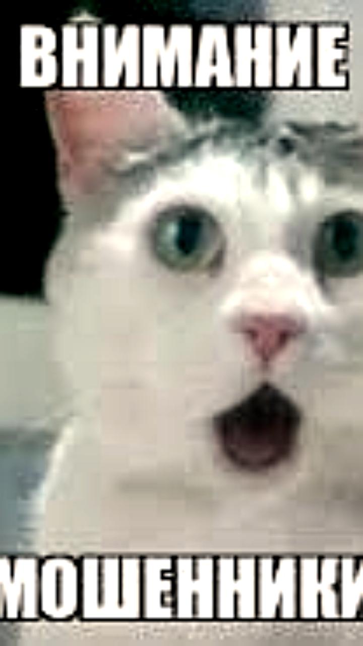 Студентка из Бурятии стала жертвой телефонных мошенников, переведя почти 300 тысяч рублей