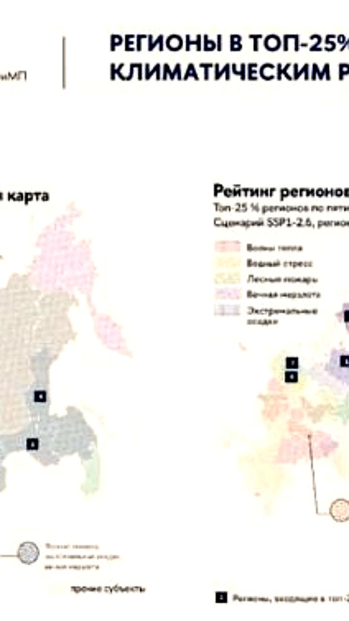 Презентация доклада о климатической адаптации в России собрала экспертов и слушателей