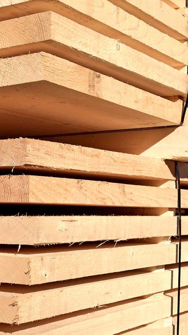 Президент Беларуси поддержал развитие малых деревообрабатывающих производств