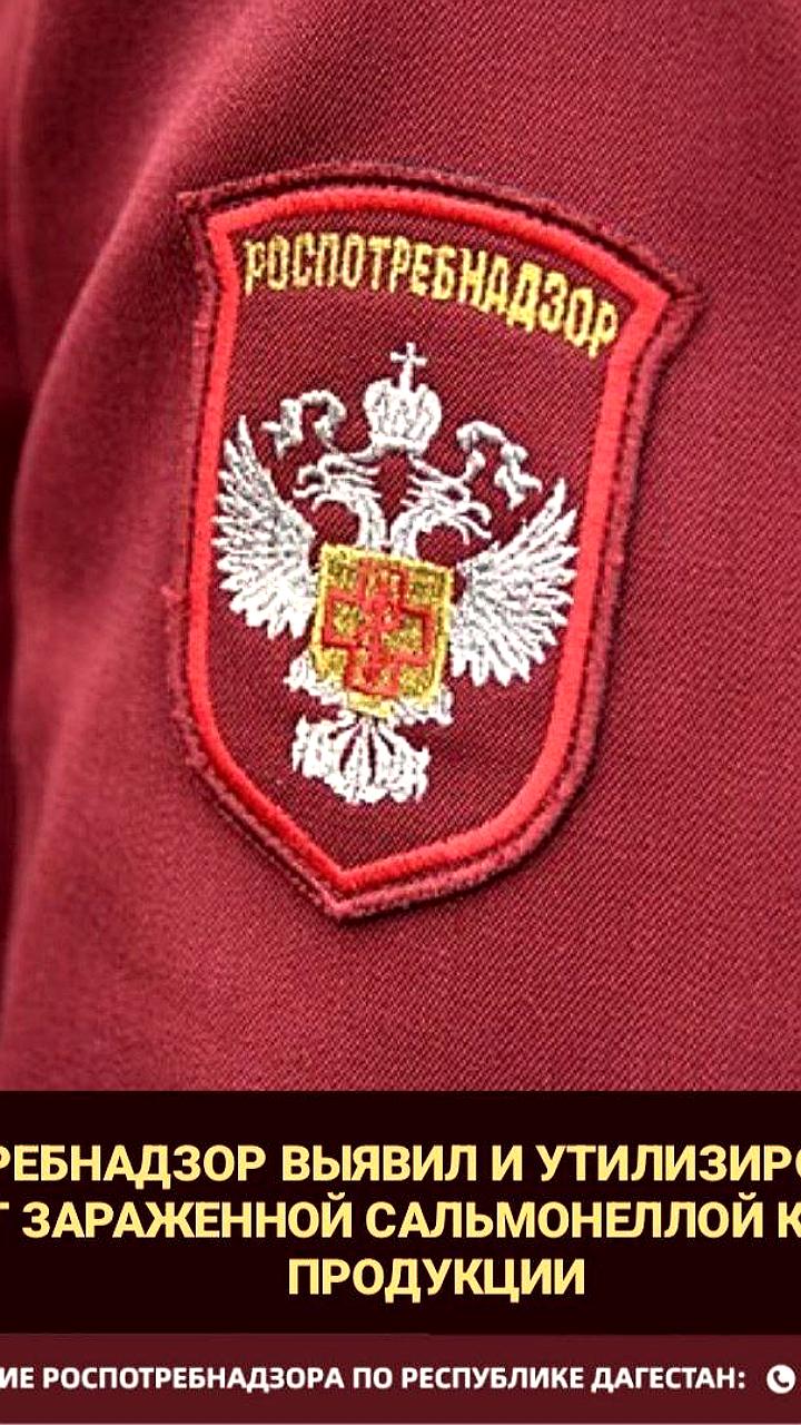 В Дагестане изъято 720 кг куриных грудок с сальмонеллой после отравления в Улан-Удэ