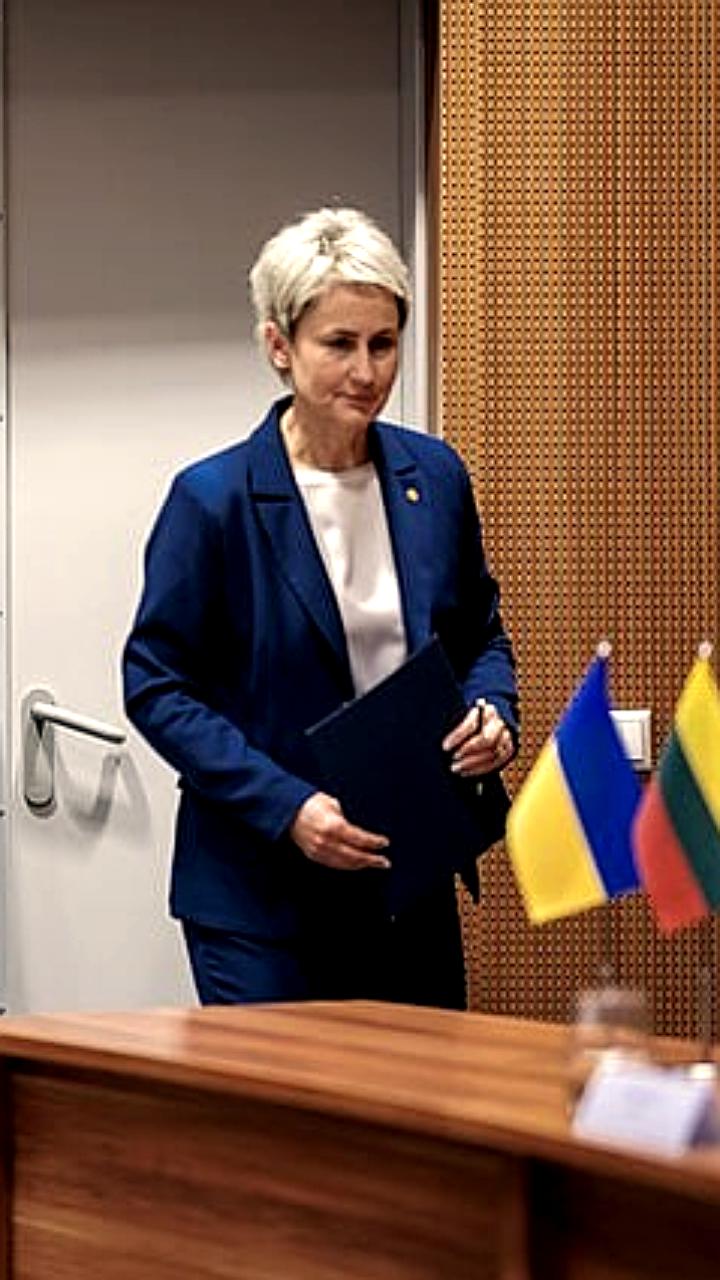 Литва получает подозреваемого в военных преступлениях от Украины