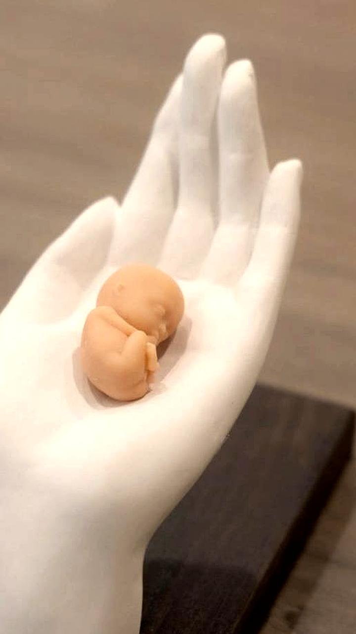 Губернатор Приморья предложил внедрить 3D эмбрионы в школы для повышения осведомленности о беременности