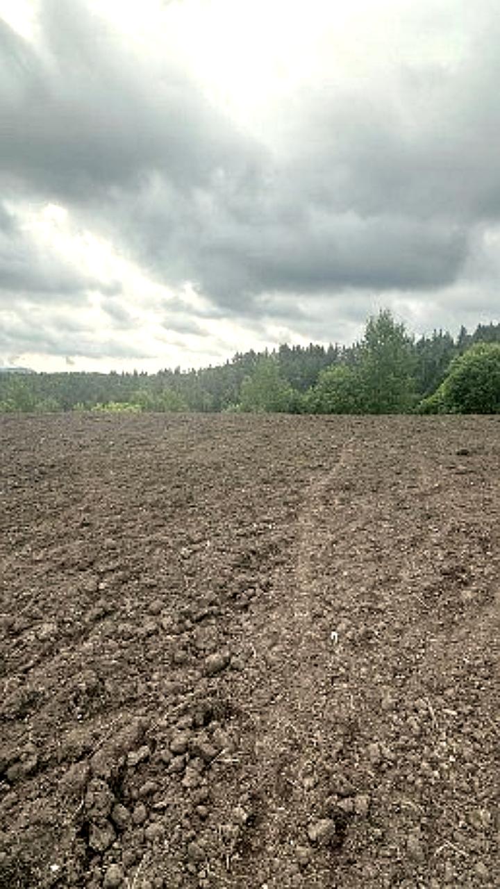 Завершена рекультивация свалки в Синегорске, начата работа над другими объектами