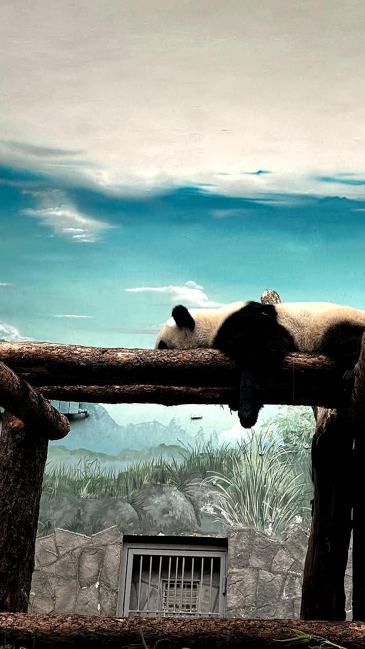 Московский зоопарк изменяет режим работы с 1 ноября