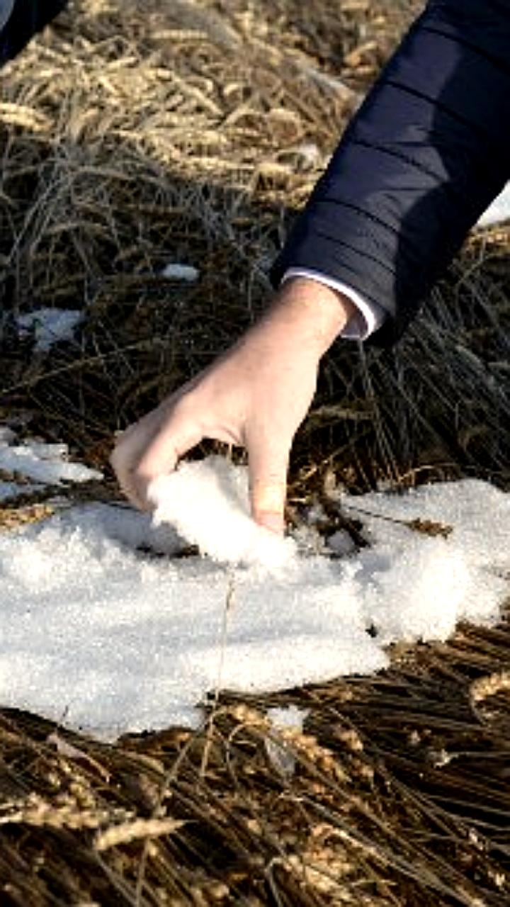 Аграрии Томской области просят о введении режима ЧС из-за непогоды
