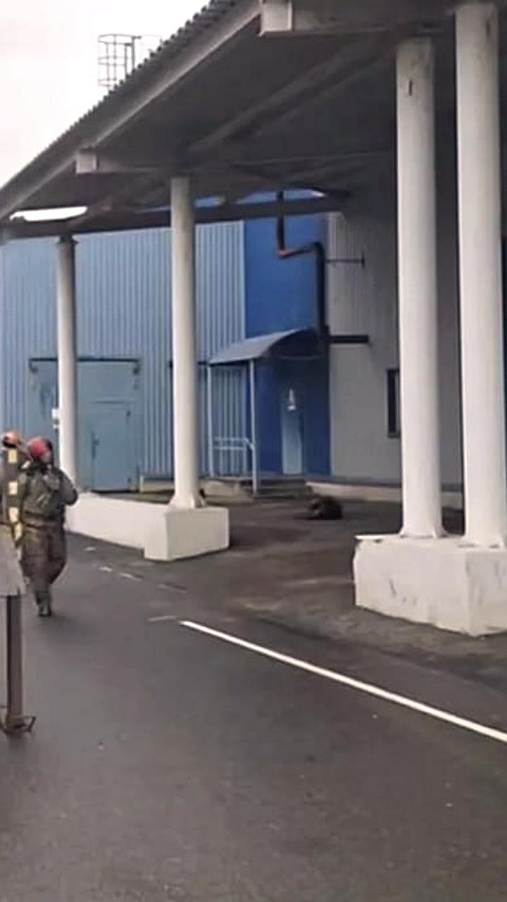 Уголовное дело возбуждено по факту травмирования рабочих ОАО Беларуськалий