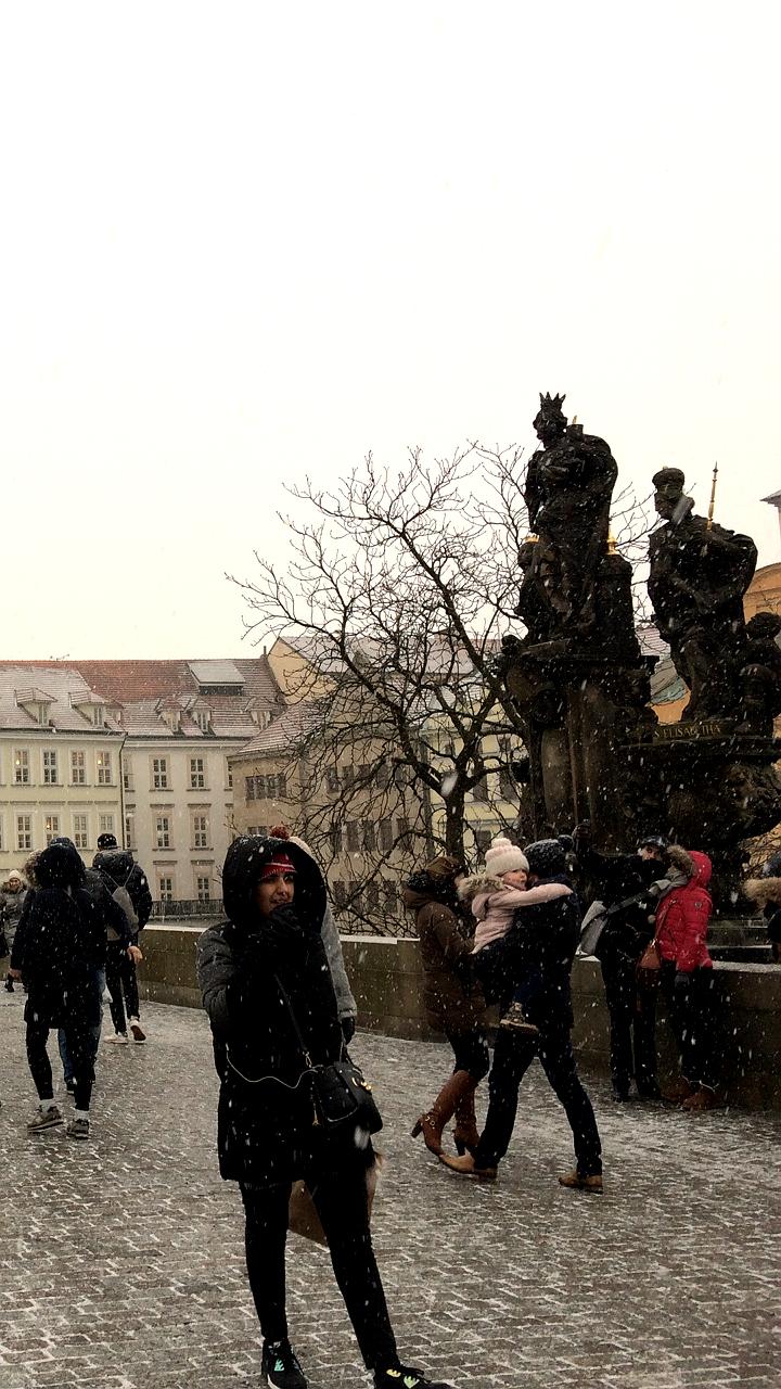 Словакия, Венгрия и Чехия обсуждают создание коалиции против политики Брюсселя