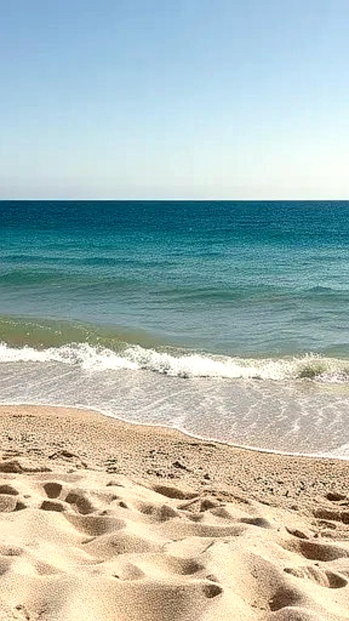 В Лаишевском районе стартует проект Казань марина с инвестициями 29,4 млрд рублей