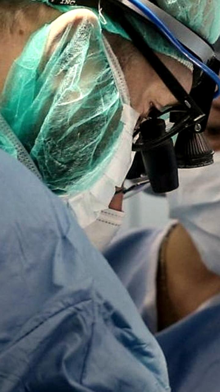 Новая технология 3D органоидов для восстановления почек успешно протестирована