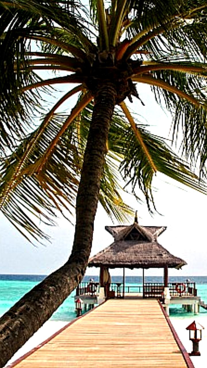 Аэрофлот увеличивает количество рейсов между Москвой и Мале до 12 в праздничный сезон