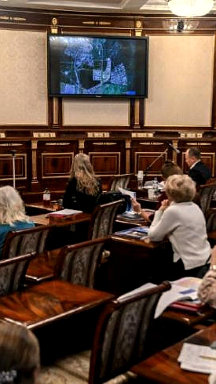 Градостроительный совет Ленобласти утвердил планы развития Новосаратовки и Осельков