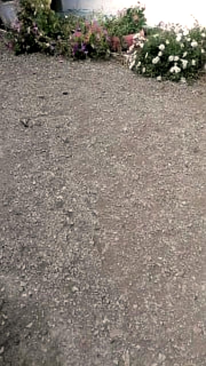 Участник СВО из Узбекистана живет в бане после ранения и отсутствия жилья