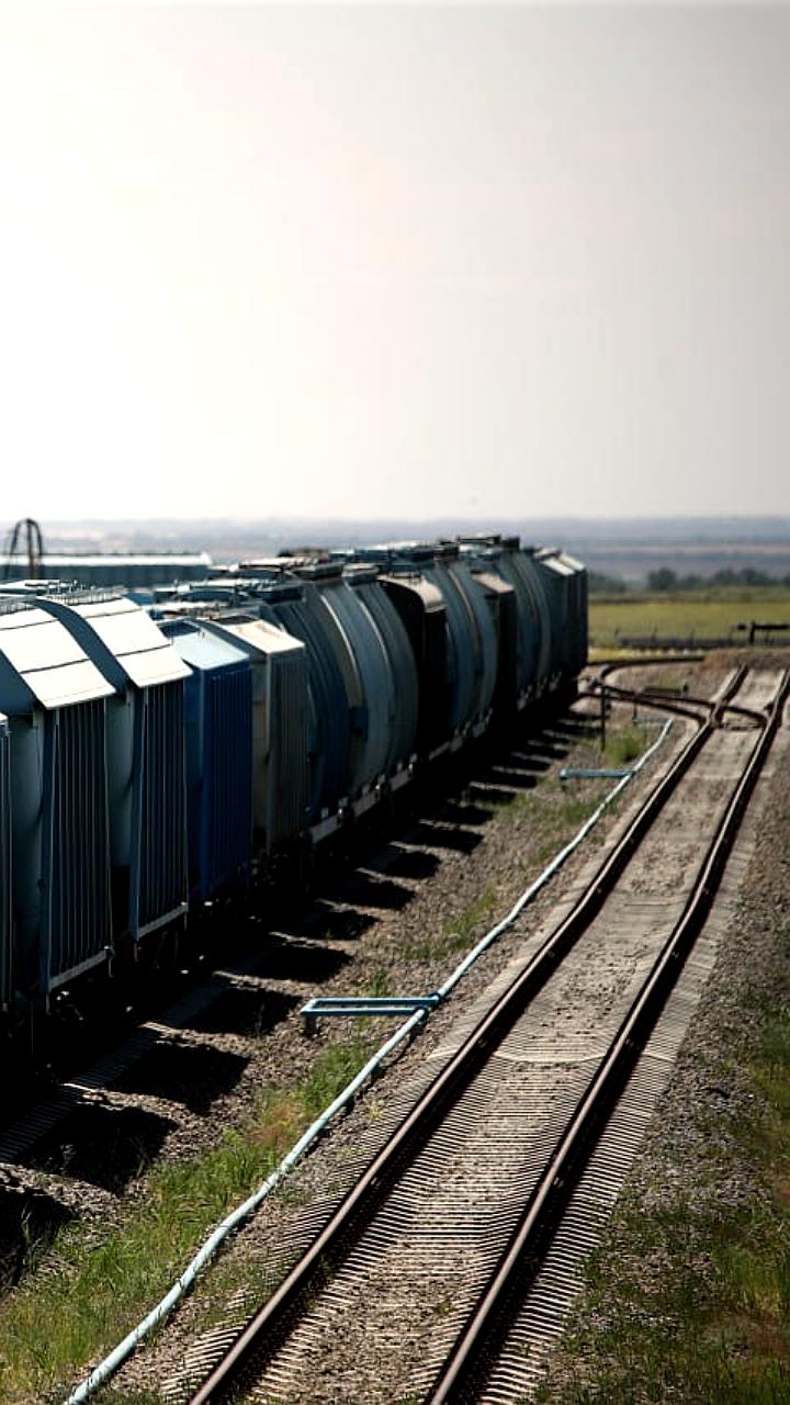 Россия вводит временный запрет на вывоз технической серы до конца 2025 года