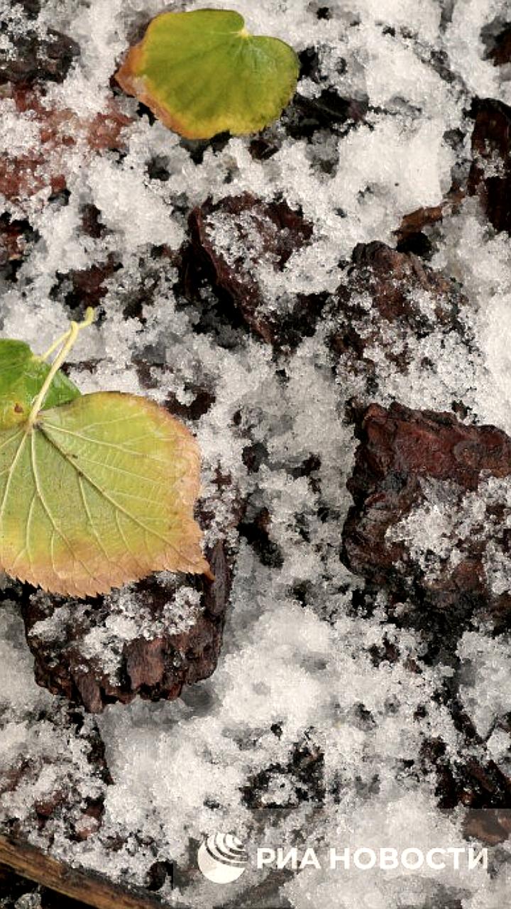 Заморозки зафиксированы в Московской области и южной Москве