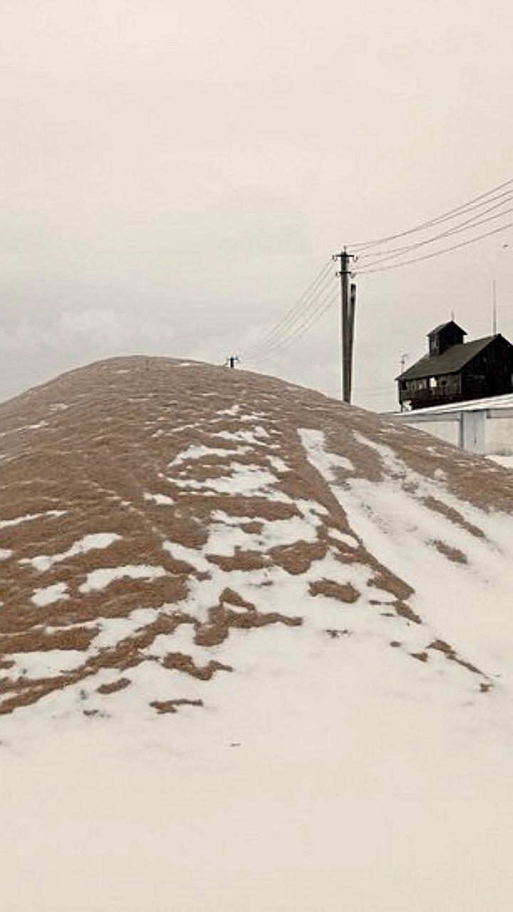 Омские аграрии завершили уборку зерновых с урожаем более 3,8 млн тонн