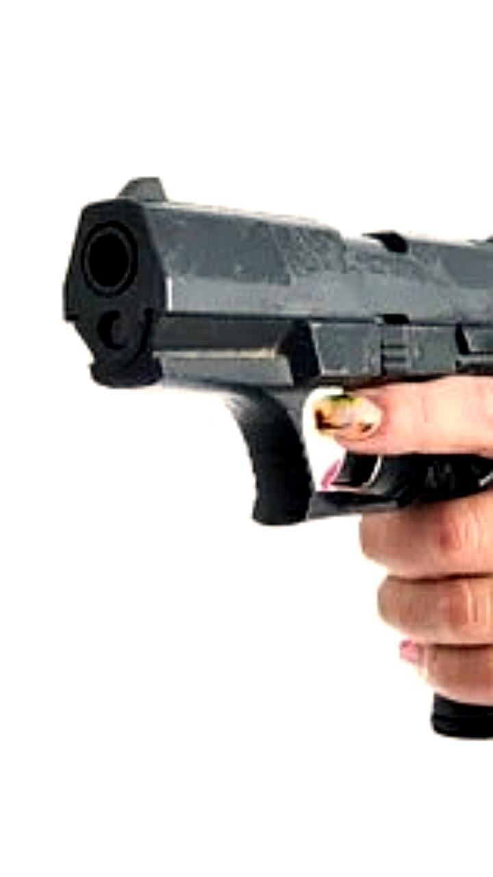 Жительница Киришей случайно ранила школьницу при попытке прогнать бездомных собак