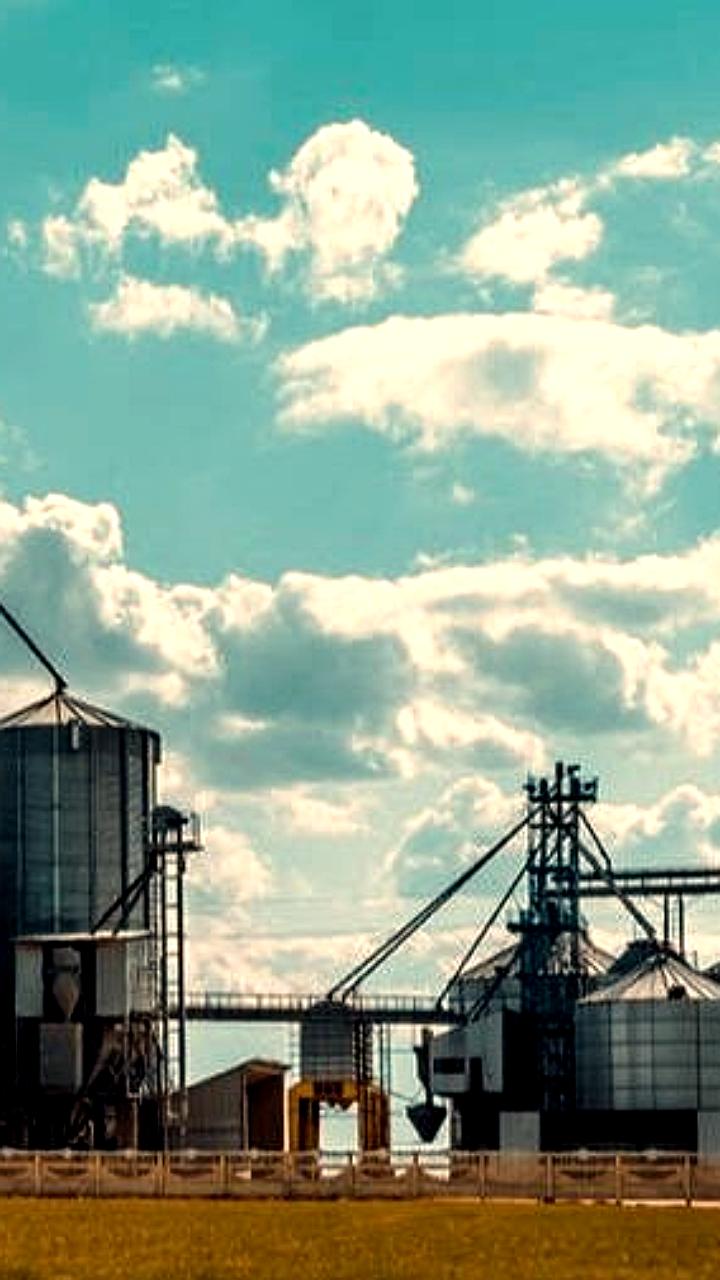 Hopefull Grain Oil Group инвестирует $1.5 млрд в агропромышленный комплекс в Казахстане